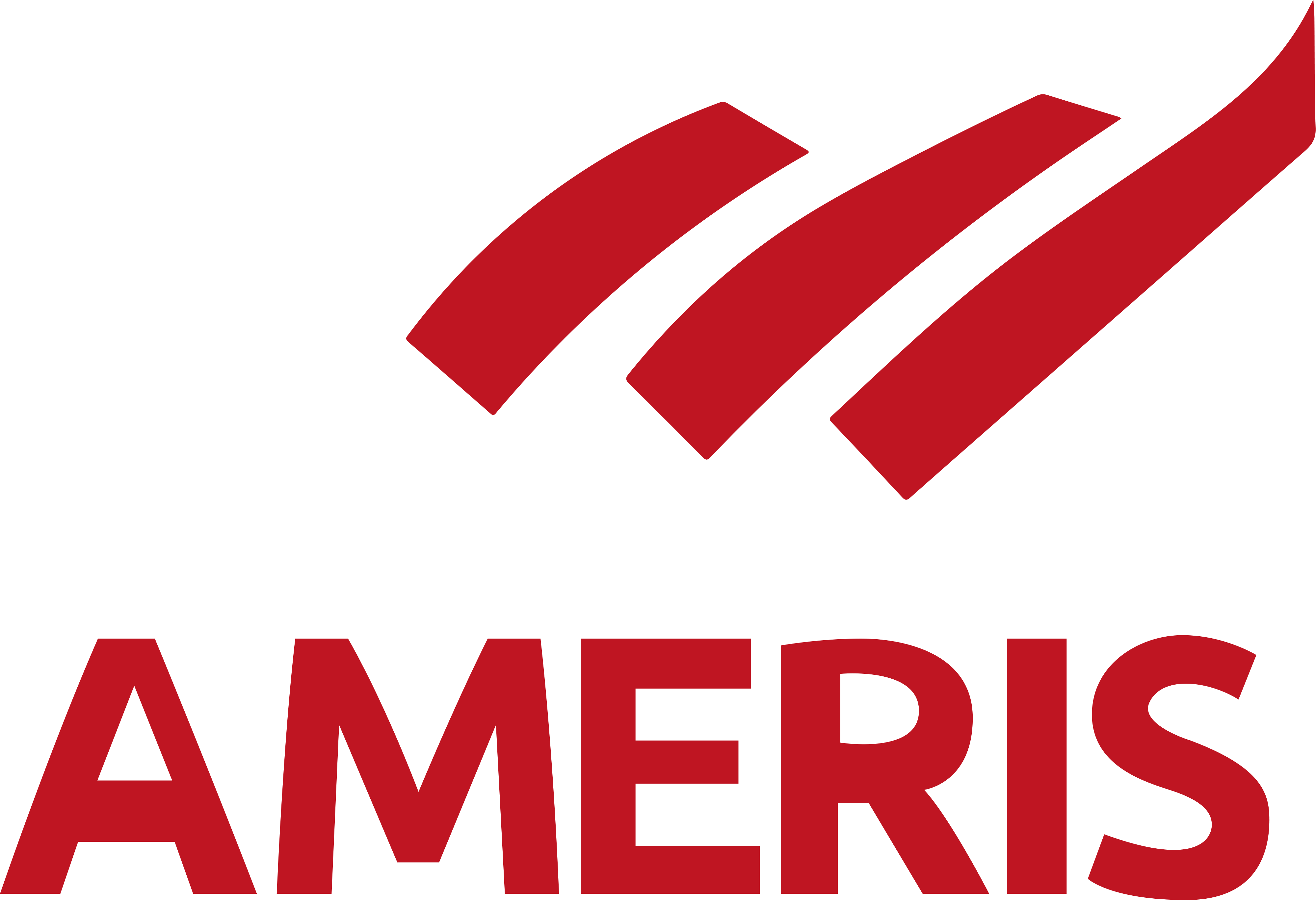 Ameris - logo